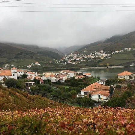 Casa Ameias Folgosa (Viseu)