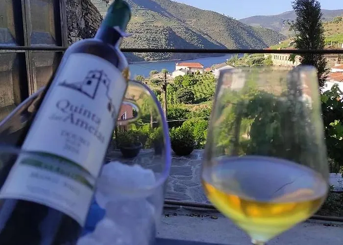 Casa Ameias Dom wakacyjny Folgosa (Viseu)